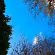 ヒメ日記 2026/03/17 19:52 投稿 みと 出会い系人妻ネットワーク さいたま～大宮編