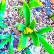 ヒメ日記 2026/03/18 19:35 投稿 みと 出会い系人妻ネットワーク さいたま～大宮編