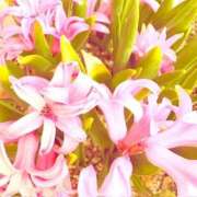 ヒメ日記 2026/03/18 20:02 投稿 みと 出会い系人妻ネットワーク さいたま～大宮編