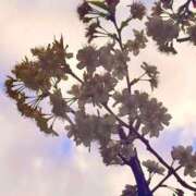 ヒメ日記 2026/03/19 20:12 投稿 みと 出会い系人妻ネットワーク さいたま～大宮編