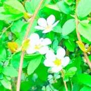 ヒメ日記 2026/03/20 12:22 投稿 みと 出会い系人妻ネットワーク さいたま～大宮編