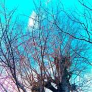 ヒメ日記 2026/03/20 18:52 投稿 みと 出会い系人妻ネットワーク さいたま～大宮編