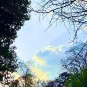 ヒメ日記 2026/03/21 09:52 投稿 みと 出会い系人妻ネットワーク さいたま～大宮編