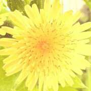 ヒメ日記 2026/03/21 14:02 投稿 みと 出会い系人妻ネットワーク さいたま～大宮編