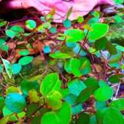 ヒメ日記 2026/03/21 20:12 投稿 みと 出会い系人妻ネットワーク さいたま～大宮編