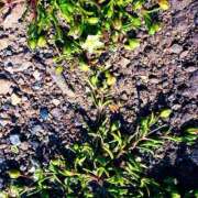 ヒメ日記 2026/03/21 20:32 投稿 みと 出会い系人妻ネットワーク さいたま～大宮編