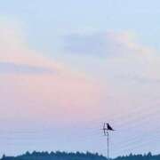 ヒメ日記 2026/03/22 10:12 投稿 みと 出会い系人妻ネットワーク さいたま～大宮編