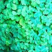 ヒメ日記 2026/03/22 13:22 投稿 みと 出会い系人妻ネットワーク さいたま～大宮編