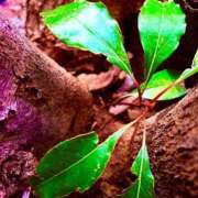 ヒメ日記 2026/03/22 19:12 投稿 みと 出会い系人妻ネットワーク さいたま～大宮編