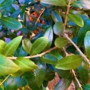 ヒメ日記 2026/03/22 20:42 投稿 みと 出会い系人妻ネットワーク さいたま～大宮編