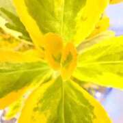 ヒメ日記 2026/03/24 21:32 投稿 みと 出会い系人妻ネットワーク さいたま～大宮編