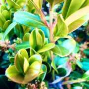 ヒメ日記 2026/03/25 07:22 投稿 みと 出会い系人妻ネットワーク さいたま～大宮編