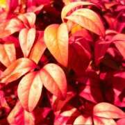 ヒメ日記 2026/03/25 20:33 投稿 みと 出会い系人妻ネットワーク さいたま～大宮編