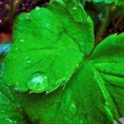 ヒメ日記 2026/03/26 18:52 投稿 みと 出会い系人妻ネットワーク さいたま～大宮編