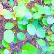 ヒメ日記 2026/03/26 21:32 投稿 みと 出会い系人妻ネットワーク さいたま～大宮編