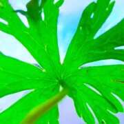 ヒメ日記 2026/03/28 13:22 投稿 みと 出会い系人妻ネットワーク さいたま～大宮編