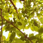 ヒメ日記 2026/03/28 17:02 投稿 みと 出会い系人妻ネットワーク さいたま～大宮編