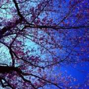 ヒメ日記 2026/03/29 21:32 投稿 みと 出会い系人妻ネットワーク さいたま～大宮編