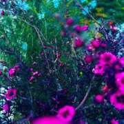 ヒメ日記 2026/04/01 20:02 投稿 みと 出会い系人妻ネットワーク さいたま～大宮編