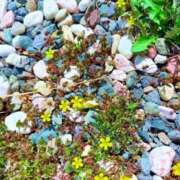 ヒメ日記 2026/04/03 20:02 投稿 みと 出会い系人妻ネットワーク さいたま～大宮編