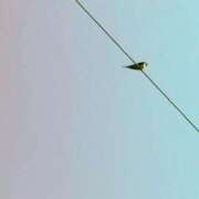 ヒメ日記 2026/04/04 10:42 投稿 みと 出会い系人妻ネットワーク さいたま～大宮編