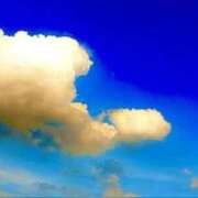 ヒメ日記 2026/04/08 05:02 投稿 みと 出会い系人妻ネットワーク さいたま～大宮編