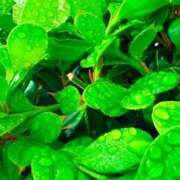 ヒメ日記 2026/04/08 20:02 投稿 みと 出会い系人妻ネットワーク さいたま～大宮編