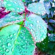 ヒメ日記 2026/04/10 19:02 投稿 みと 出会い系人妻ネットワーク さいたま～大宮編