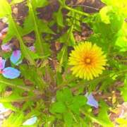 ヒメ日記 2026/04/10 19:52 投稿 みと 出会い系人妻ネットワーク さいたま～大宮編