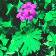 ヒメ日記 2026/04/11 20:32 投稿 みと 出会い系人妻ネットワーク さいたま～大宮編