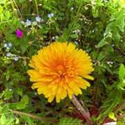 ヒメ日記 2026/04/13 19:52 投稿 みと 出会い系人妻ネットワーク さいたま～大宮編