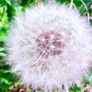 ヒメ日記 2026/04/14 20:02 投稿 みと 出会い系人妻ネットワーク さいたま～大宮編