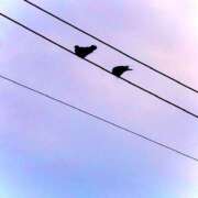 ヒメ日記 2026/04/15 19:02 投稿 みと 出会い系人妻ネットワーク さいたま～大宮編