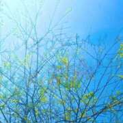 ヒメ日記 2026/04/15 19:42 投稿 みと 出会い系人妻ネットワーク さいたま～大宮編