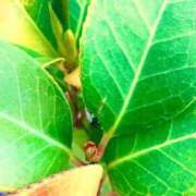 ヒメ日記 2026/04/16 08:02 投稿 みと 出会い系人妻ネットワーク さいたま～大宮編