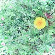 ヒメ日記 2026/04/17 07:02 投稿 みと 出会い系人妻ネットワーク さいたま～大宮編