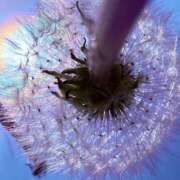 ヒメ日記 2026/04/17 20:02 投稿 みと 出会い系人妻ネットワーク さいたま～大宮編