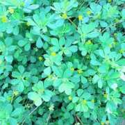 ヒメ日記 2026/04/18 21:07 投稿 みと 出会い系人妻ネットワーク さいたま～大宮編