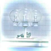 ヒメ日記 2026/04/19 12:26 投稿 みと 出会い系人妻ネットワーク さいたま～大宮編