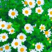 ヒメ日記 2026/04/19 12:38 投稿 みと 出会い系人妻ネットワーク さいたま～大宮編