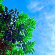 ヒメ日記 2026/04/20 18:52 投稿 みと 出会い系人妻ネットワーク さいたま～大宮編