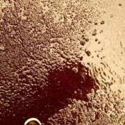 ヒメ日記 2026/04/27 21:42 投稿 みと 出会い系人妻ネットワーク さいたま～大宮編