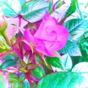 ヒメ日記 2026/04/29 19:22 投稿 みと 出会い系人妻ネットワーク さいたま～大宮編