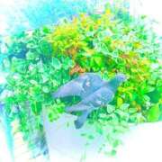 ヒメ日記 2026/05/23 20:49 投稿 みと 出会い系人妻ネットワーク さいたま～大宮編