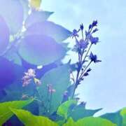 ヒメ日記 2026/05/25 20:02 投稿 みと 出会い系人妻ネットワーク さいたま～大宮編