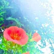 ヒメ日記 2026/06/06 18:22 投稿 みと 出会い系人妻ネットワーク さいたま～大宮編