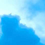 ヒメ日記 2026/06/29 05:12 投稿 みと 出会い系人妻ネットワーク さいたま～大宮編