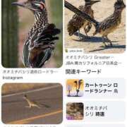 ヒメ日記 2026/08/25 20:02 投稿 みと 出会い系人妻ネットワーク さいたま～大宮編