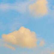 ヒメ日記 2026/09/04 05:02 投稿 みと 出会い系人妻ネットワーク さいたま～大宮編