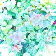 ヒメ日記 2026/10/12 19:59 投稿 みと 出会い系人妻ネットワーク さいたま～大宮編